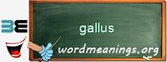 WordMeaning blackboard for gallus